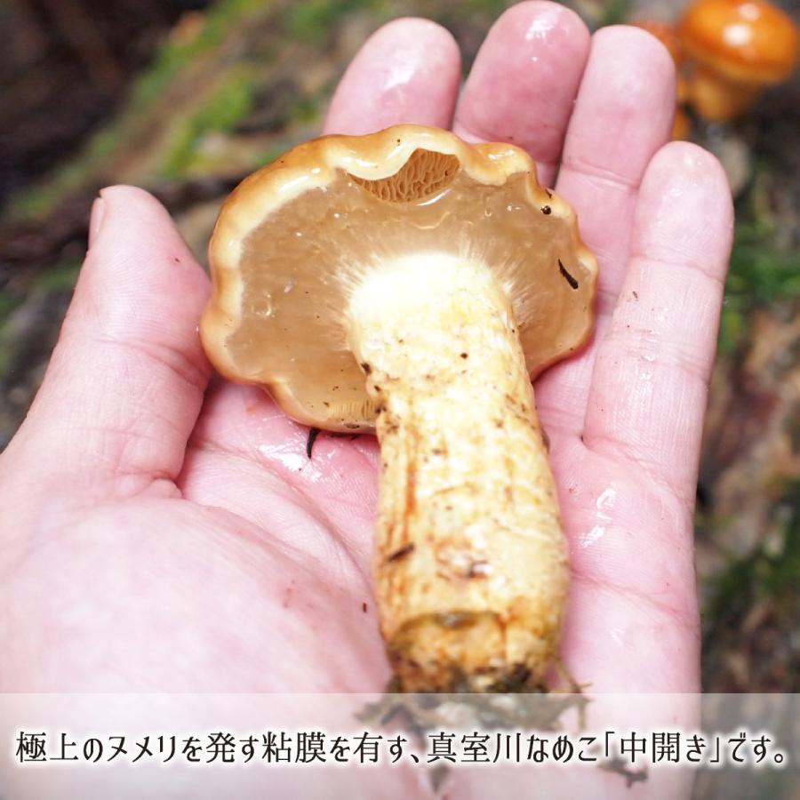 正規 原木なめこ 2kg 中開き 山形県真室川町産 無農薬 無肥料 自然栽培 収穫当日発送 生 ナメコ 10月上旬 11月中旬 送料無料 Originaljustturkey Com
