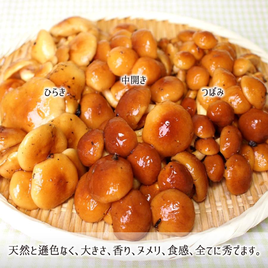 原木なめこ 3kg(ひらき) 山形県真室川町産 無農薬 無肥料 自然栽培