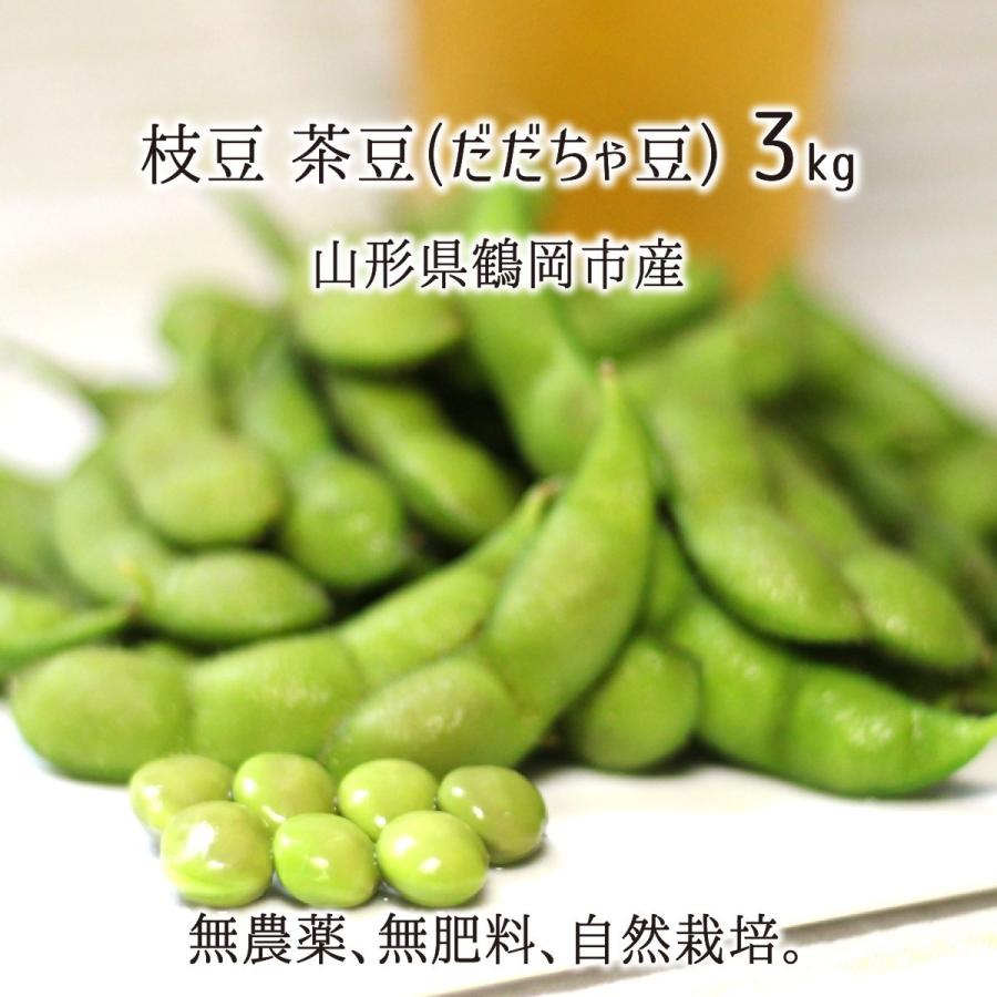 枝豆 茶豆 だだちゃ豆 3kg 無農薬 無肥料 自然農法 山形県鶴岡市産 早生白山 甘露 白山 8月上旬 9月上旬 500g 6 送料無料 Erdbevfgb6 豆類 もやし Phoenix Ge