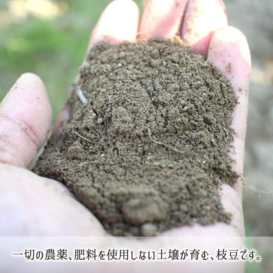 秘伝豆 3kg 無農薬 無肥料 自家採種 自然栽培 山形県鶴岡市産 青豆 枝豆 9月下旬 10月上旬 500g 6 送料無料 Ygsf013 産直 むすび 通販 Yahoo ショッピング
