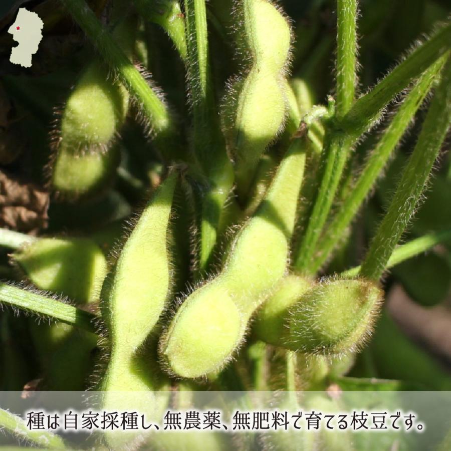 枝豆 青豆 秘伝豆 3kg 無農薬 無肥料 自然農法 山形県鶴岡市産 9月下旬 10月上旬 500g 6 送料無料 Ygsf013 産直 むすび 通販 Yahoo ショッピング