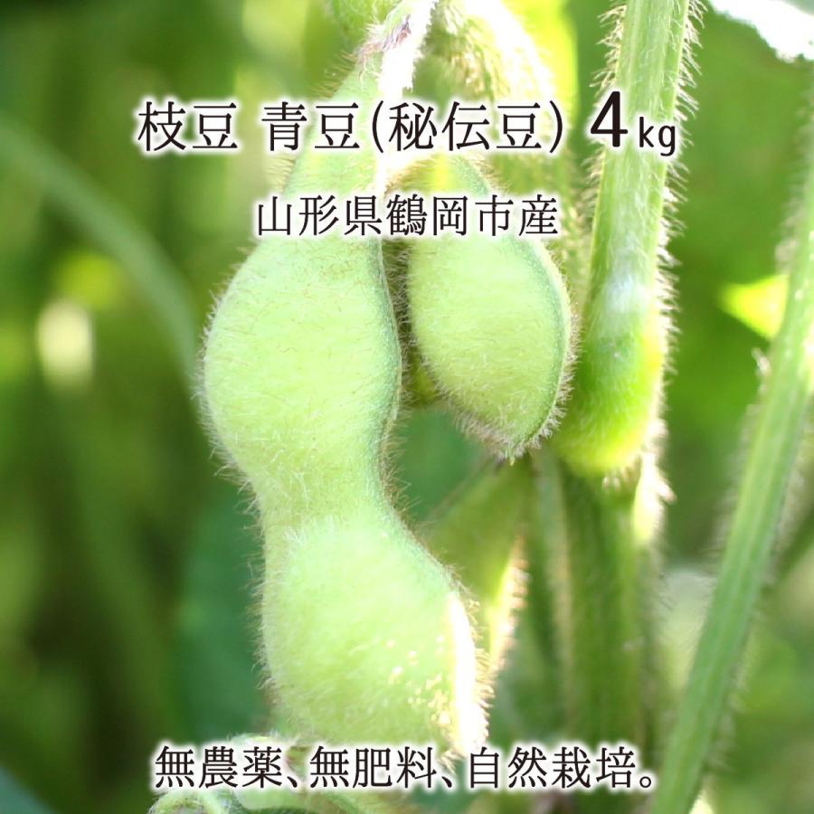 新発売の 秘伝豆 4kg 無農薬 無肥料 自家採種 自然栽培 山形県鶴岡市産 青豆 枝豆 9月下旬 10月上旬 500g 8 送料無料 Ygsf014 産直 むすび 通販 Yahoo ショッピング 在庫あり 即納 Blog Lonolife Com
