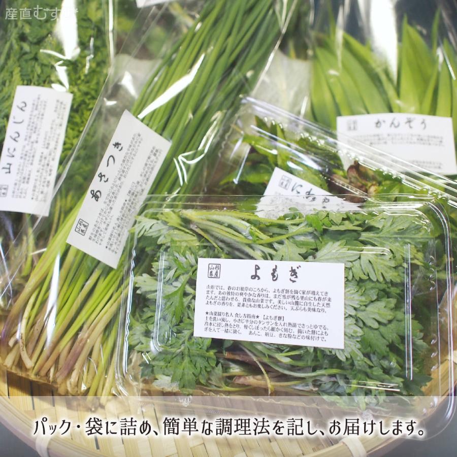 ゆうり様用　月山筍上級品1箱　通常品1箱 蕨3キロ 無農薬野菜　山菜セット 天然 山菜セット(5〜7種類) 合計700〜1000g 山形県真室川町産 4月上旬