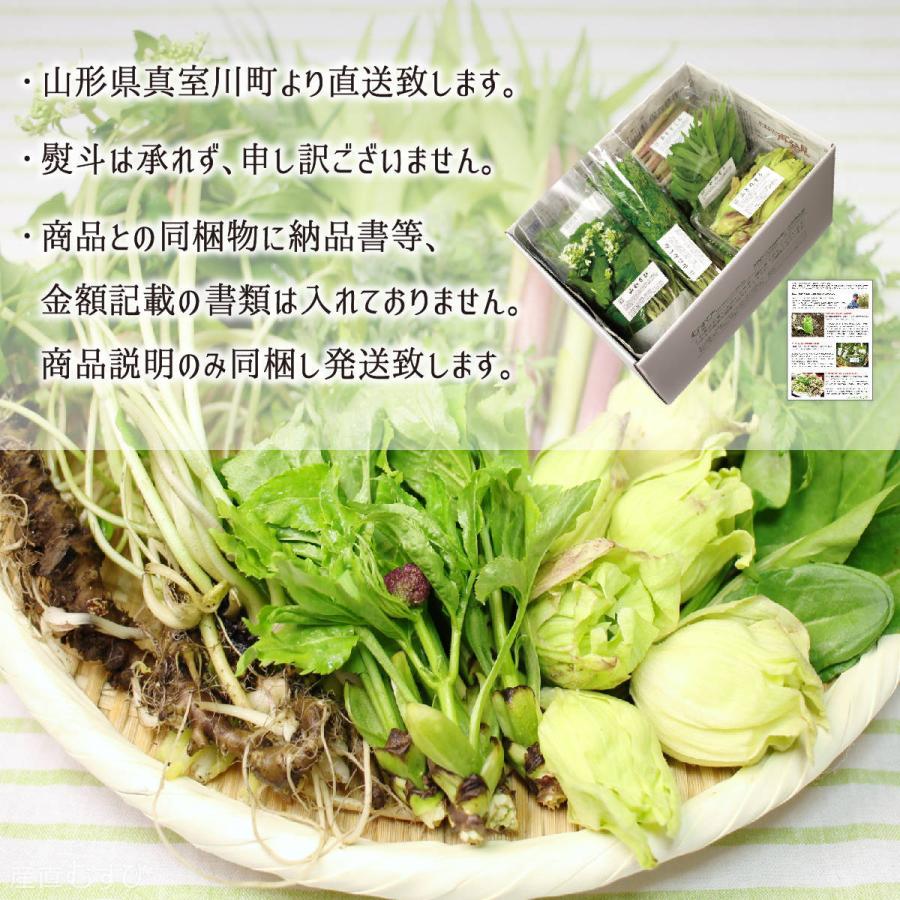 お待たせ! 天然 山わさび(葉わさび) 300g＋山菜5〜7種 合計1.0〜1.5kg 山形 野菜