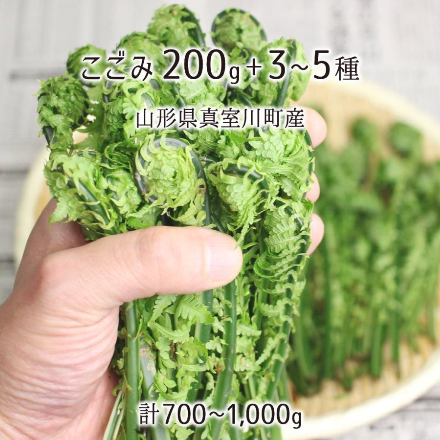 天然 こごみ 200g＋山菜3〜5種 合計700〜1000g 山形県真室川町産 4月