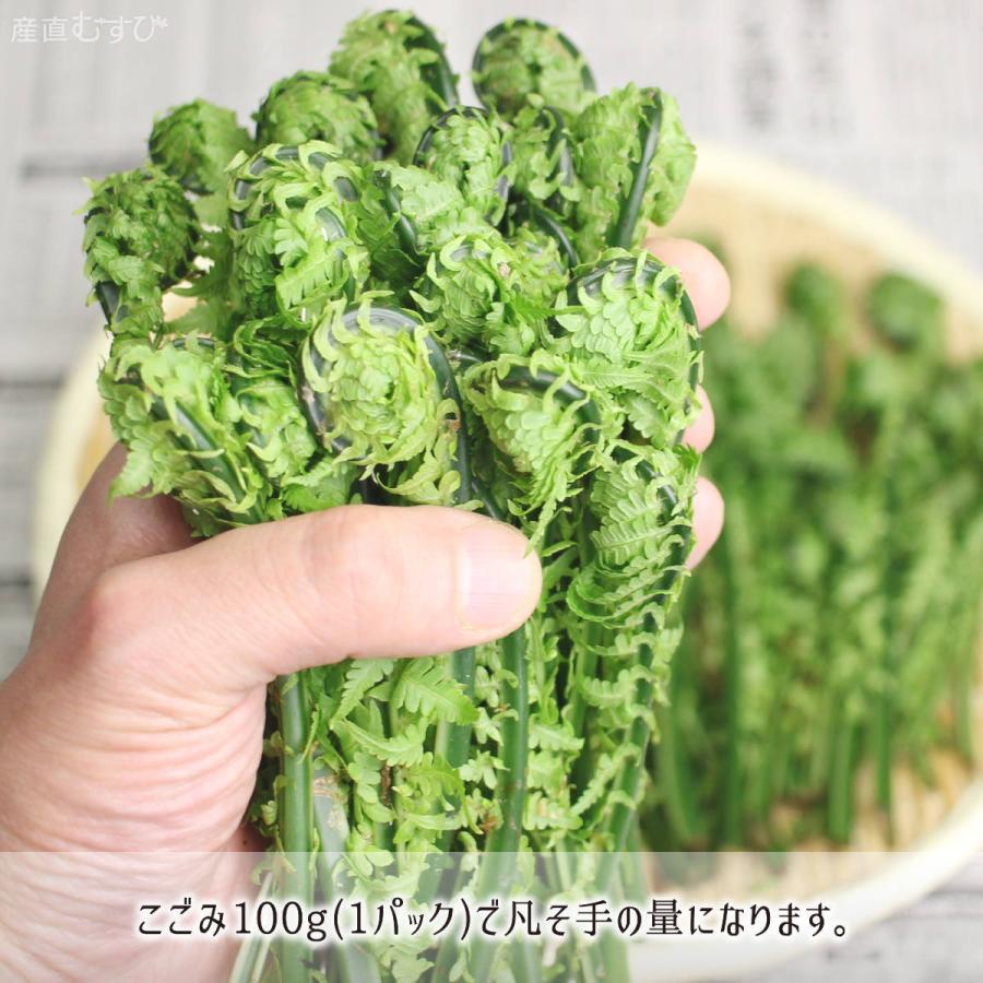 天然 こごみ 200g＋山菜3〜5種 合計700〜1000g 山形県真室川町産 4月