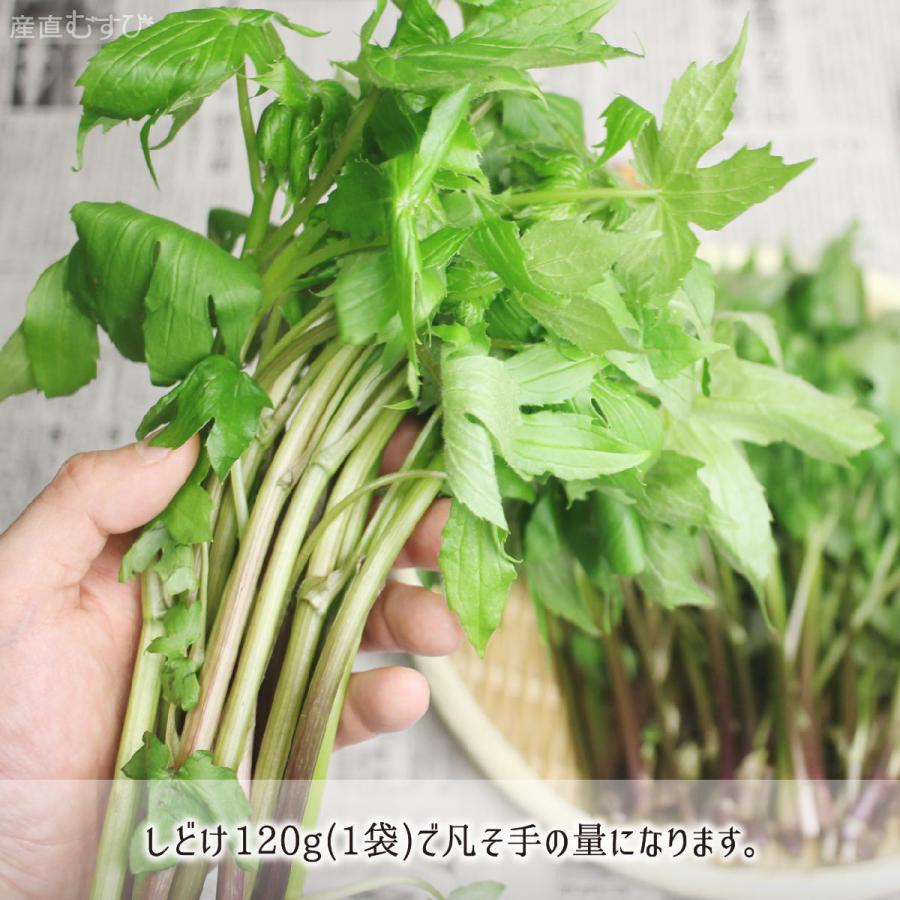 食品 山形県産 菊芋チップス 1.2kg(120g×10袋) 山菜 野菜 乾燥野菜