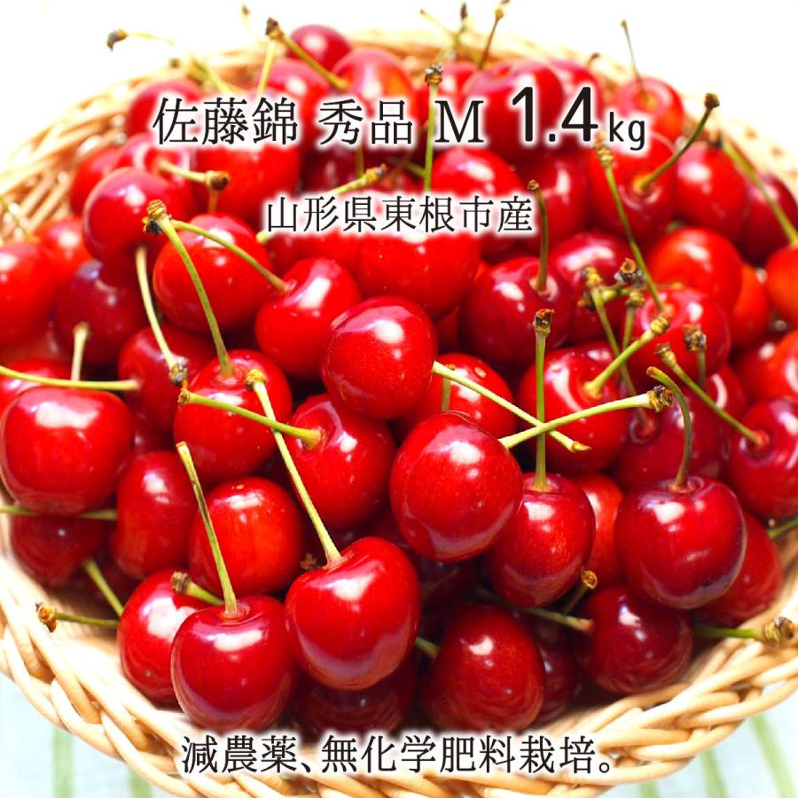 特別栽培さくらんぼ 佐藤錦 秀品 M 2kg 山形県東根産 減農薬 無化学肥料栽培 6月中旬 6月下旬 朝採り当日発送 送料無料 Hotelvinadelmar Mx