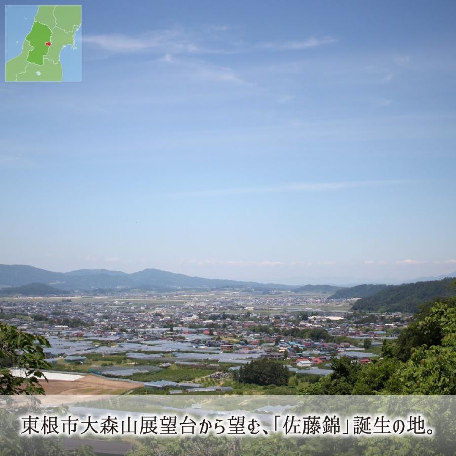 佐藤錦 訳あり(色ムラ・色薄) 2kg 特別栽培 さくらんぼ 山形県東根市産 減農薬 無化学肥料 6月中旬〜6月下旬 朝採り当日発送 送料無料|musubi-ichiba|05