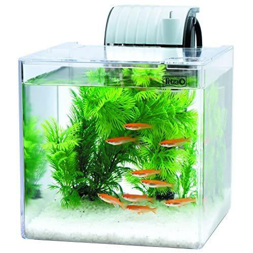 低価格 静かなメダカ飼育セット テトラ Tetra Sf 17kf ディスカウント