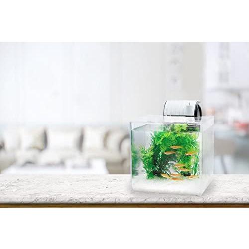 低価格 静かなメダカ飼育セット テトラ Tetra Sf 17kf ディスカウント