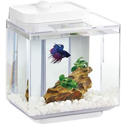 ジェックス 水槽 楽アクアスイッチ ホワイト 幅21cm Msb19 Uoc31q5fj むすび商店 通販 Yahoo ショッピング