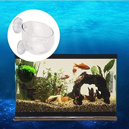 Srrabbit 水草ポット グラスポット 水草 植木鉢 水槽 アクアリウム 取付簡単 ガラス製 2個セット Msb19 Vag11m0ji むすび商店 通販 Yahoo ショッピング