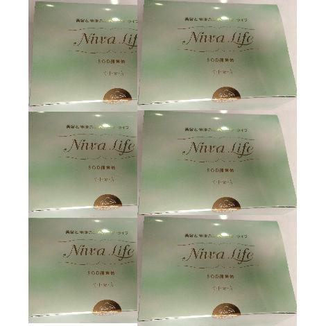 セール 公式 活性酸素対策の抗酸化ｓｏｄ食品 15 引 無添加ハウスの15 引 高知県で製造 丹羽免疫研究所の本物商品 3ｇ 1本入 6箱 小冊子付 説明dvd付 送料無料 Sod03 4ならショッピング ランキングや口コミも豊富なネット通販 更にお得なpaypay残高も