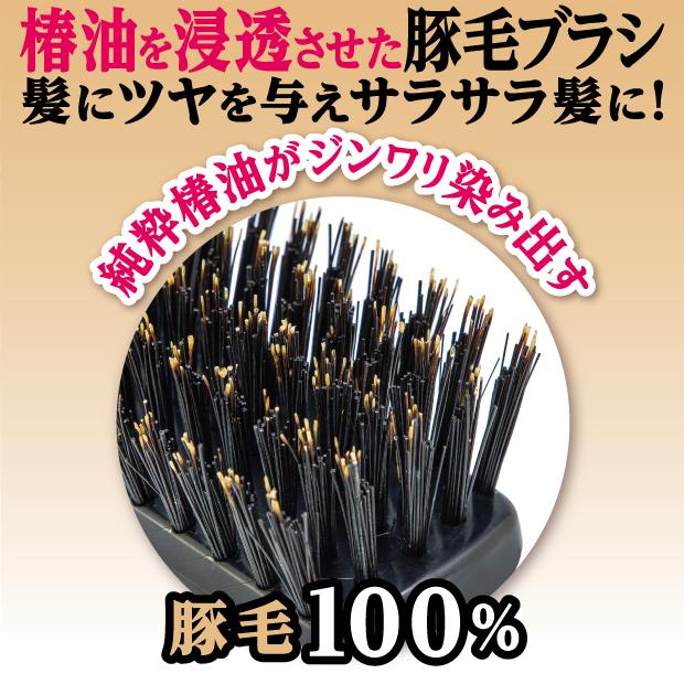 ヘアブラシ 豚毛 ブラシ マッサージ ヘアーブラシ 椿油 クシ 艶 くし