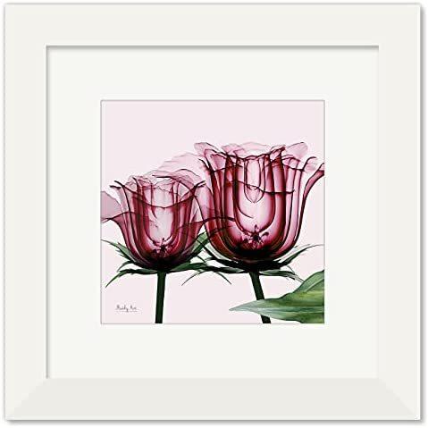 早割クーポン 額入り アートパネル 花 絵 絵画 ピンク色のバラ インテリア ホワイト 縦36cm ピンク 横36cm X 日本画 Jeuneschirurgiens Com