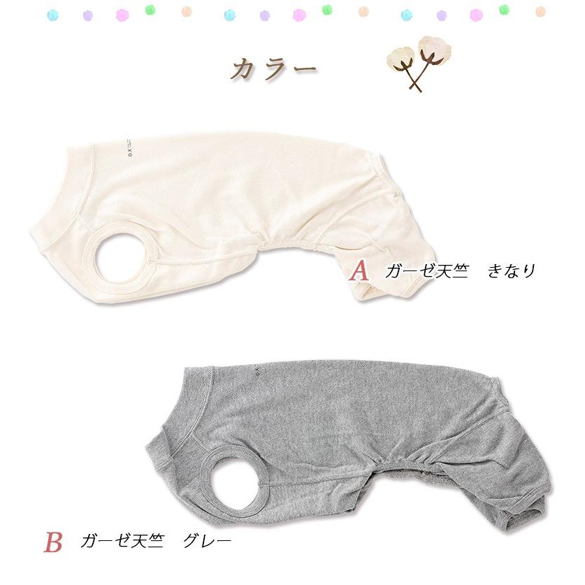 下着・アンダーウェア DOG 楽天市場】犬プリントショーツ Lickstarter chihuahua リック