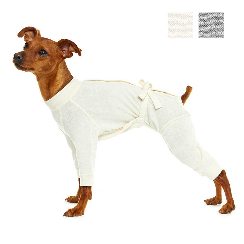 犬 服 ケアウェア(肌着) ミニチュアピンシャータイプ フルスーツ （犬