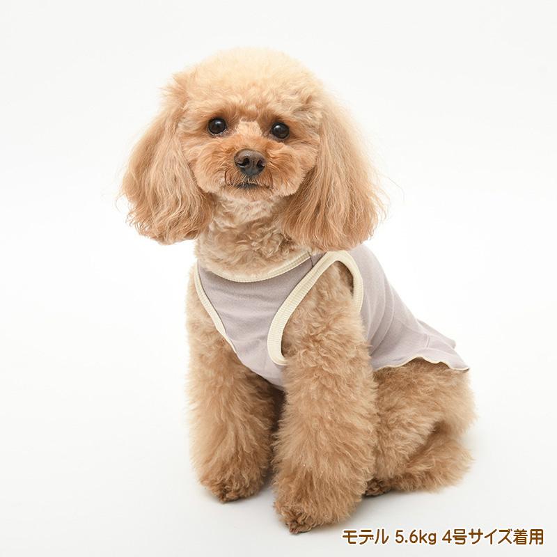 犬服 中型犬 服 フェザーニット タンクトップワンピース/4-6号　春夏 |  | 06