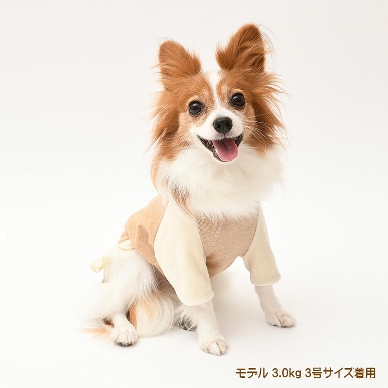 犬服 小型犬 服 ベロアヘンリーネック半袖ワンピース/1-3号 秋 冬 |  | 06