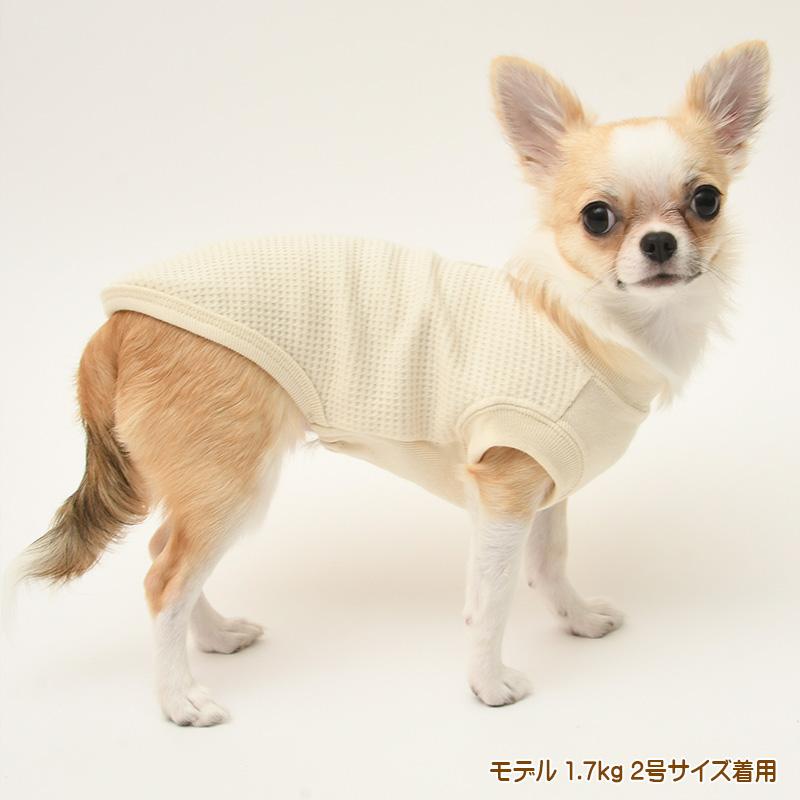 犬服 中型犬 服 接結ワッフルノースリーブ/4-6号 春 夏 |  | 06