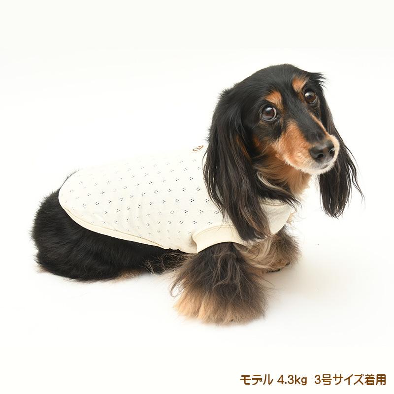犬服 中型犬 服 メッシュ裏毛ノースリーブ/4-6号 春 夏 |  | 05