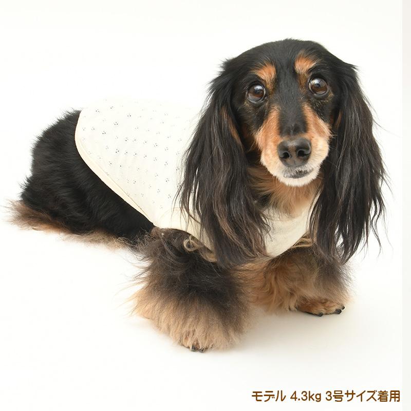 犬服 中型犬 服 メッシュ裏毛ノースリーブ/4-6号 春 夏 |  | 06
