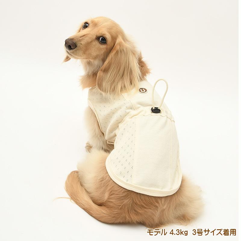 犬服 中型犬 服 天竺ベルト切替ノースリーブ/4-6号 春 夏 |  | 06