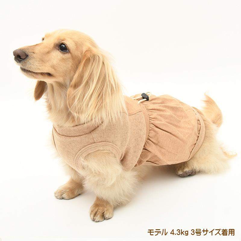 犬服 中型犬 服 天竺ベルト切替かぼちゃスカートワンピース/4-6号 春 夏 |  | 07
