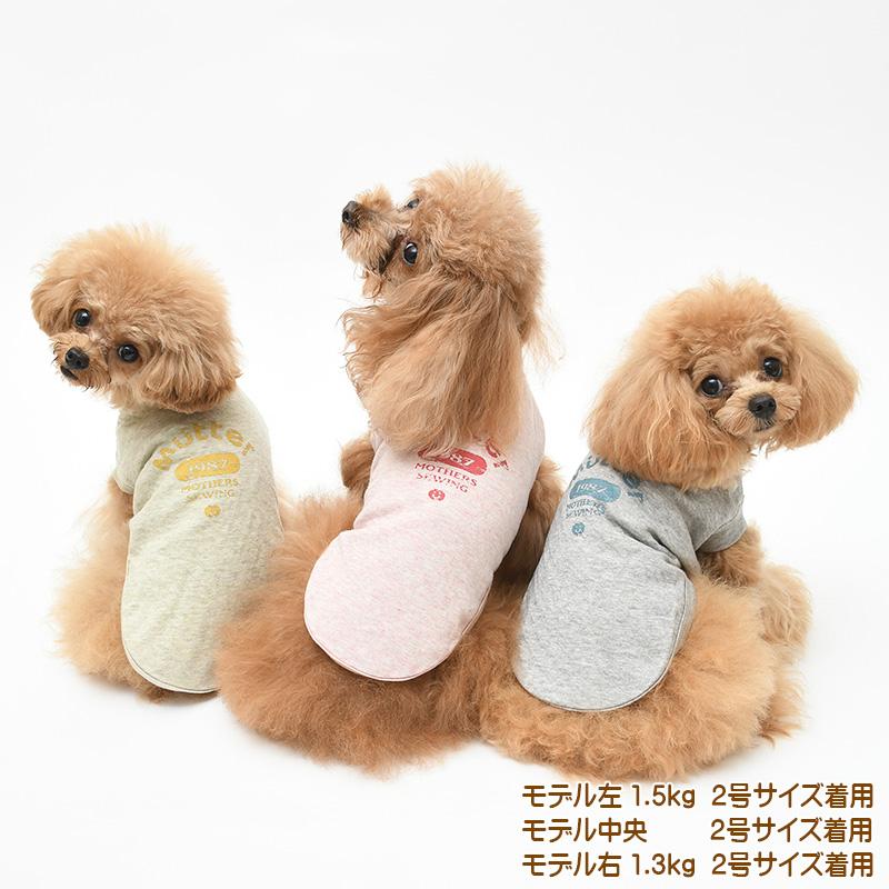 犬服 中型犬 服 ボタニカル接結プリントTee/4-6号 秋 冬