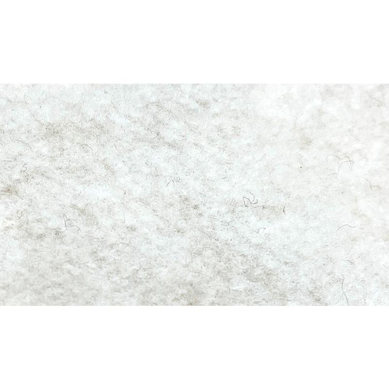 犬服 小型犬 服 ミニ裏毛起毛ワッペンスタジャン/1-3号 秋 冬 |  | 02