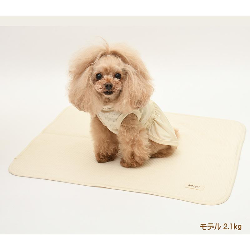 犬用【ワッフルｘレーシーニット　ケットマット】Sサイズ |  | 04
