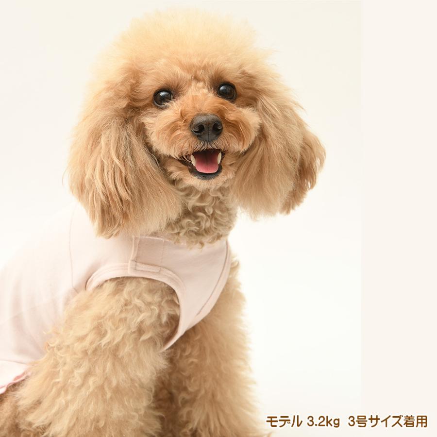 犬服 中型犬 服 キャンディーストレッチノースリーブワンピース/4-6号 春 夏 |  | 08