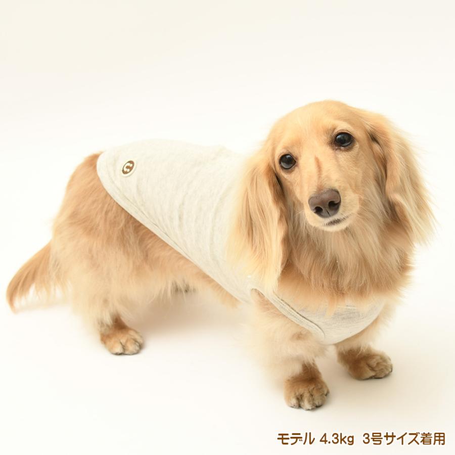 犬服 中型犬 服 オーコットガーゼベア天竺背中開きノースリーブ/4-6号 春 夏 |  | 06