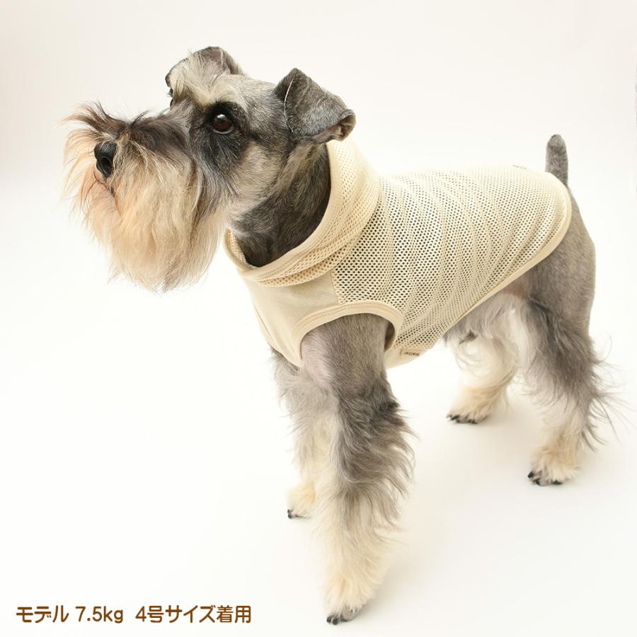 犬服 中型犬 服 ラッセルメッシュパーカー/4-6号 春 夏 |  | 06