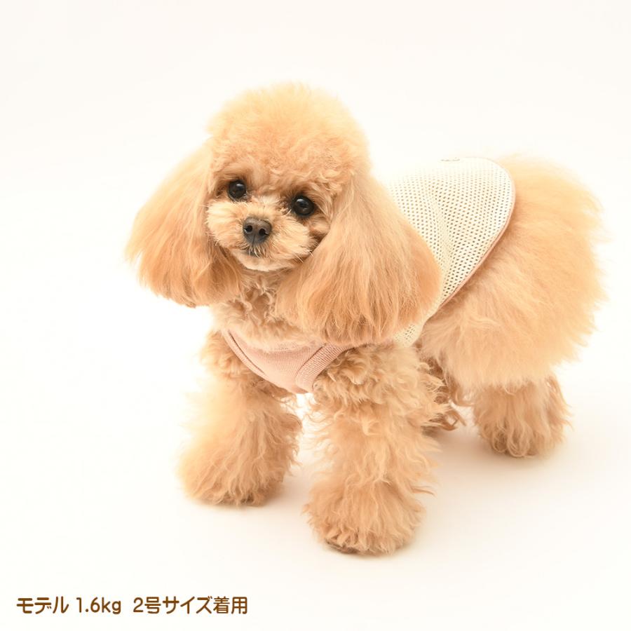 犬服 大型犬 服 ラッセルメッシュバイカラーノースリーブ/7-9号 春 夏 |  | 08
