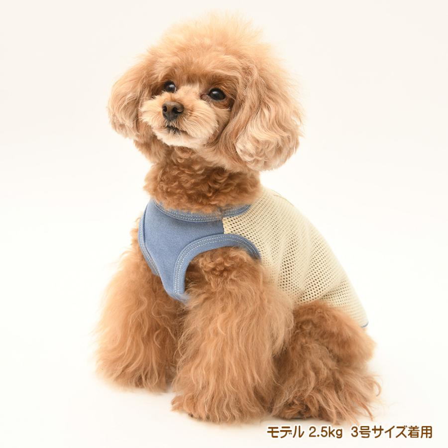 犬服 中型犬 服 ラッセルメッシュバイカラーノースリーブ/4-6号 春 夏 |  | 06