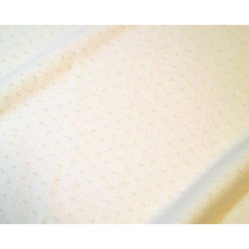 オーガニックコットン生地(パターンメッシュ)きなり |  | 01