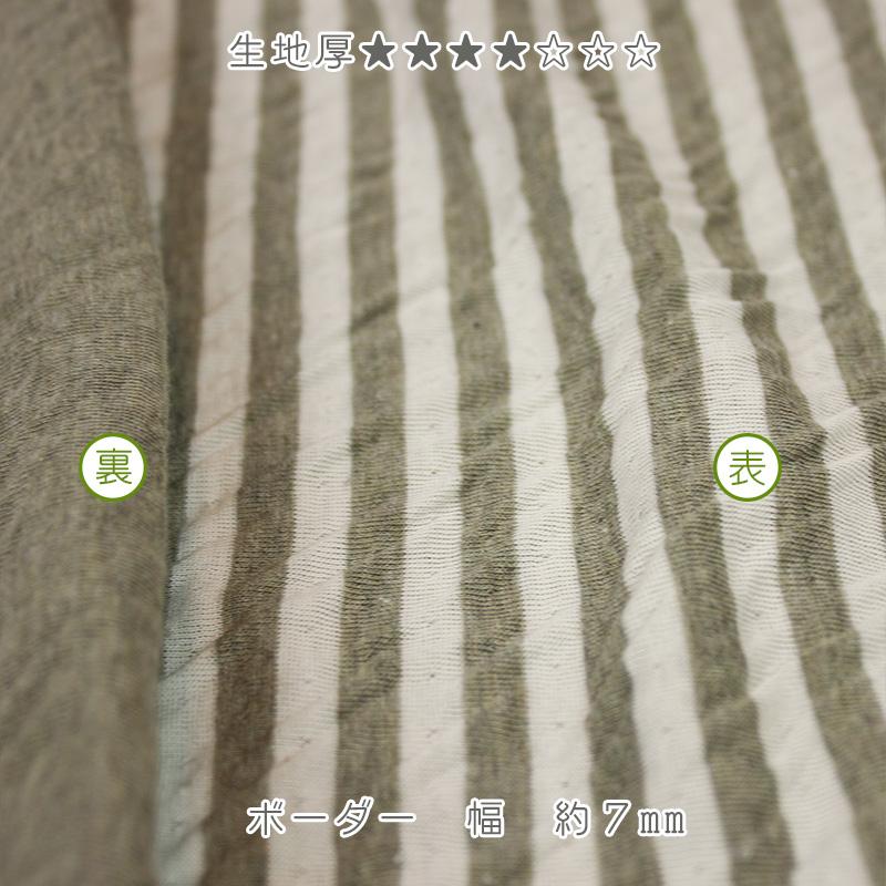 オーガニックコットン 生地オーコット 接結ボーダー |  | 03