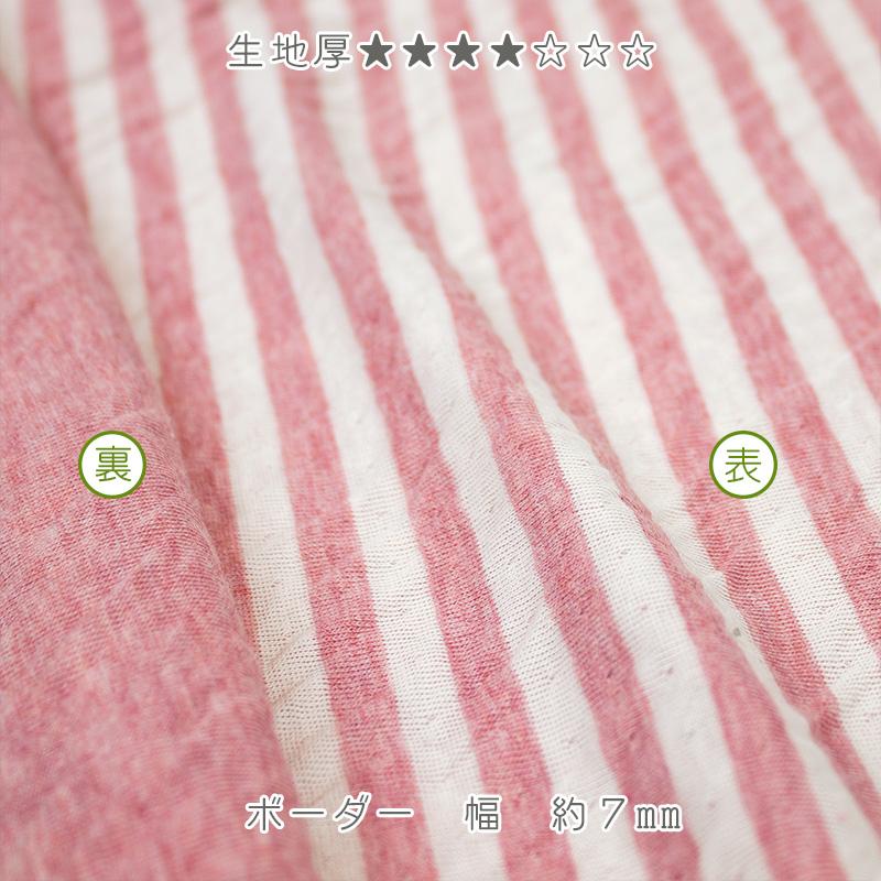 オーガニックコットン 生地オーコット 接結ボーダー |  | 04