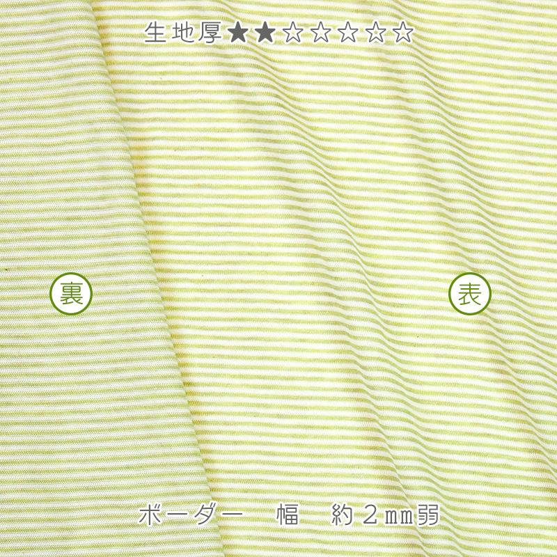 オーガニックコットン 生地オーコット 40/1SZ天竺ボーダー |  | 04