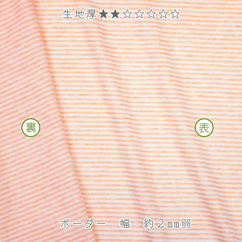 オーガニックコットン 生地オーコット 40/1SZ天竺ボーダー |  | 05