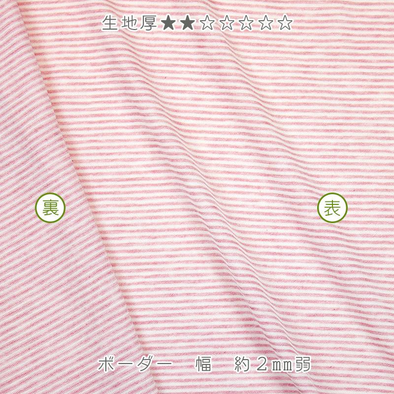 オーガニックコットン 生地オーコット 40/1SZ天竺ボーダー |  | 06