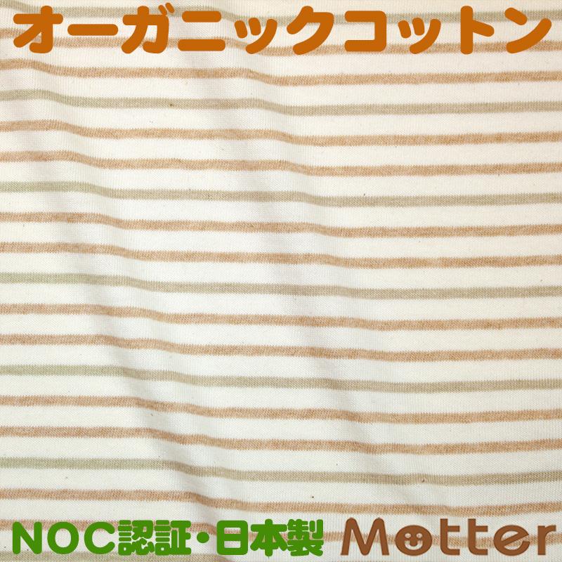 オーガニックコットン 生地20/1天竺 3色ボーダー | 