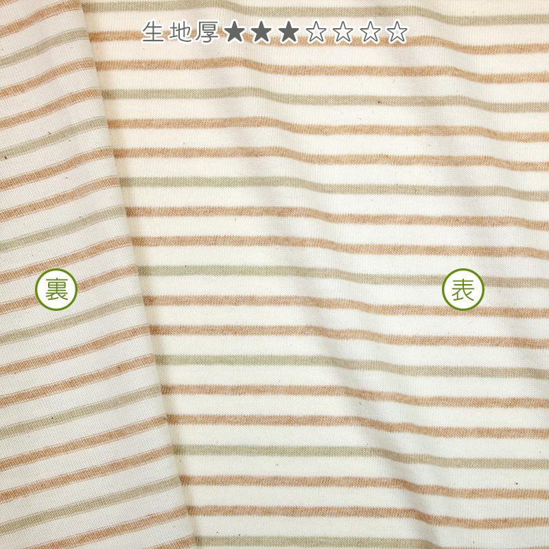 オーガニックコットン 生地20/1天竺 3色ボーダー |  | 02