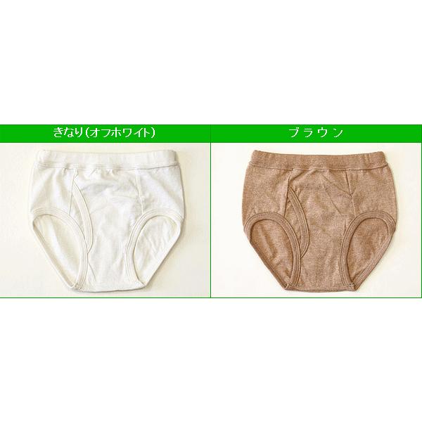 子供下着 パンツ 男 キッズ オーガニックコットン 天竺生地 男児