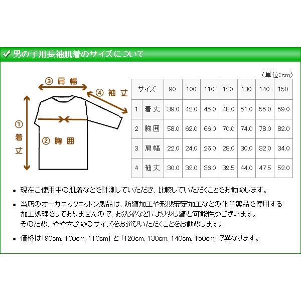 キッズ 下着シャツ 男児  オーガニックコットン 男児 インナー 子供 長袖 肌着 草木染天竺ボーダー 男の子Tシャツ 90 100 110cm｜mutter｜03