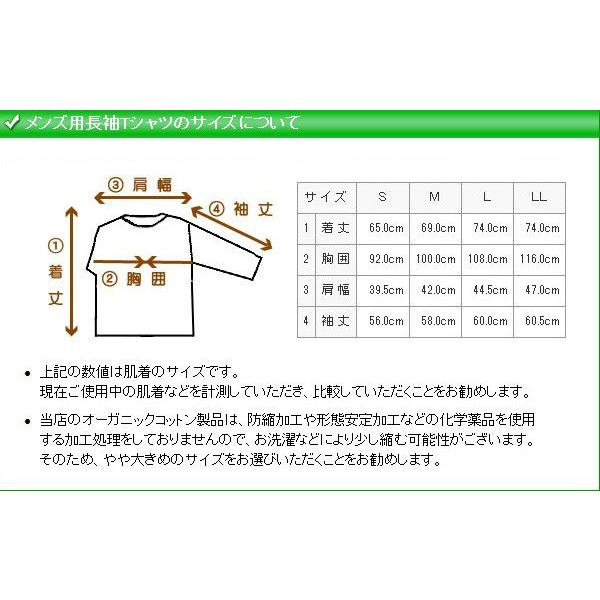 メンズ 肌着 長袖 丸首 綿 オーガニックコットン 秋冬 cotton 暖かい フライス起毛 長袖Tシャツ 白 茶 ボーダー S M L LL |  | 02