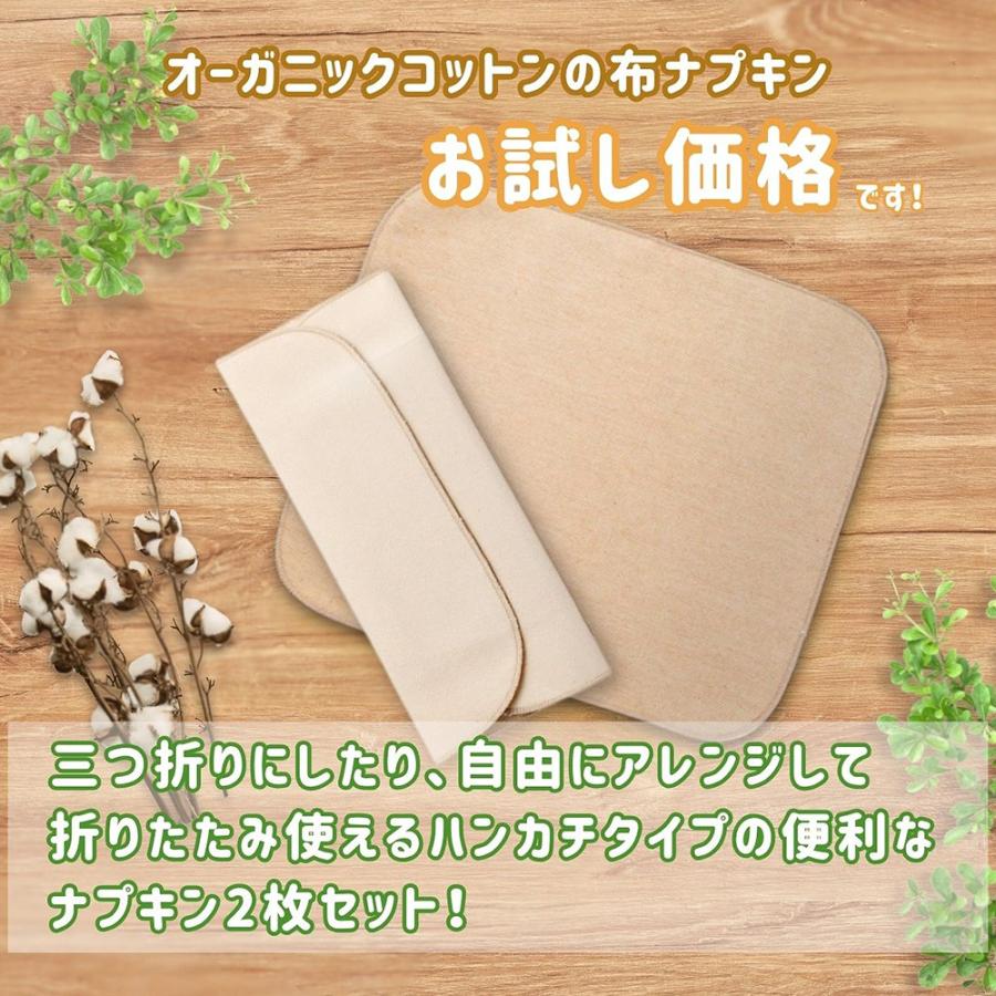 布ナプキン オーガニックコットン お試し プレーンタイプ2枚セット