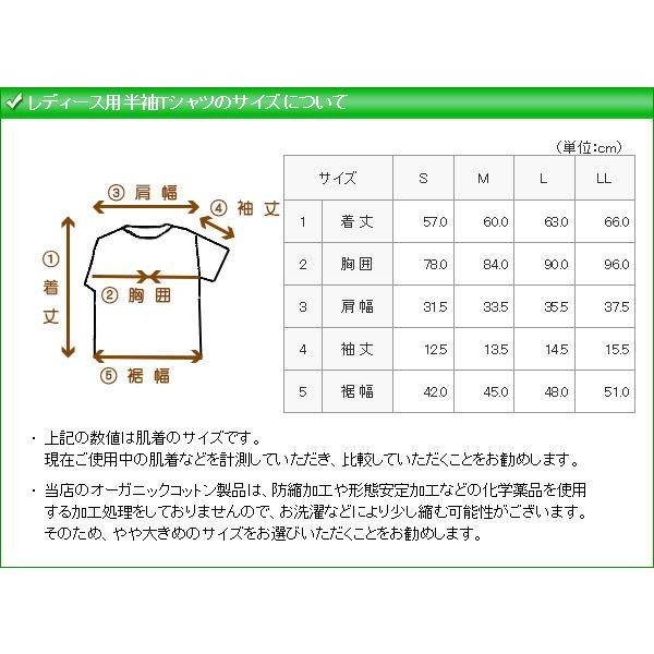 レディース オーガニックコットン 肌着 草木染めボーダー半袖Tシャツ |  | 02